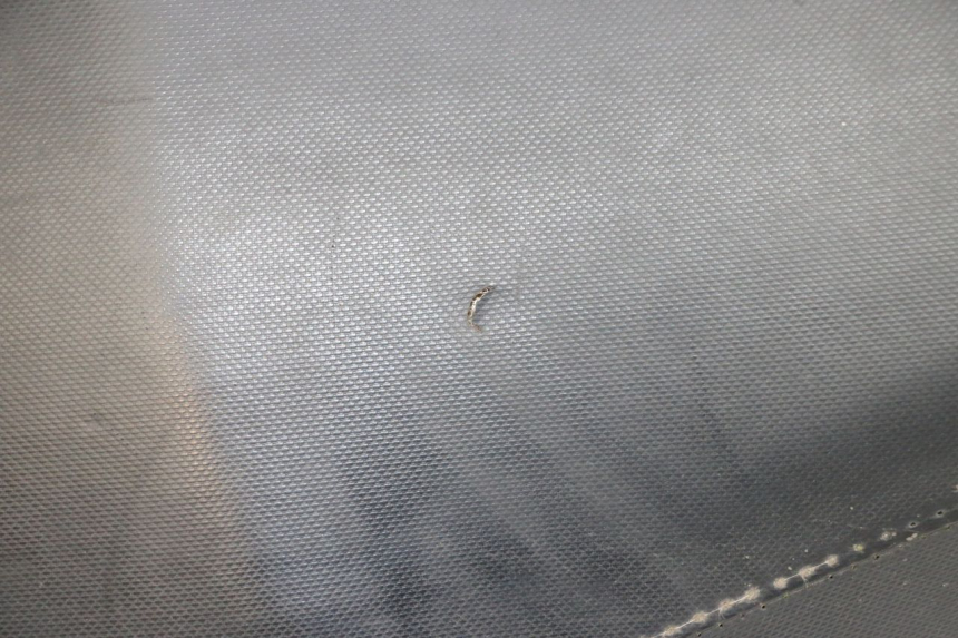 photo de SELLE PIAGGIO NEW TYPHOON 50 (2018 - 2021) - Vue d’ensemble