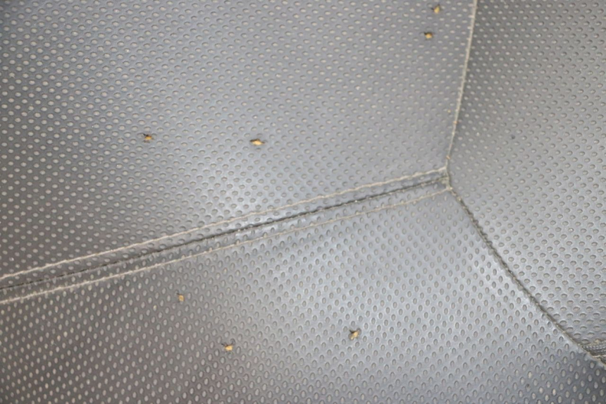 photo de SELLE YAMAHA XMAX X-MAX 125 (2006 - 2009) - Pièce contrôlée