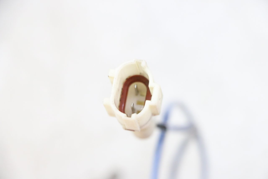 photo de SONDE TNT MOTOR BOSTON 4T 50 (2018 - 2025)