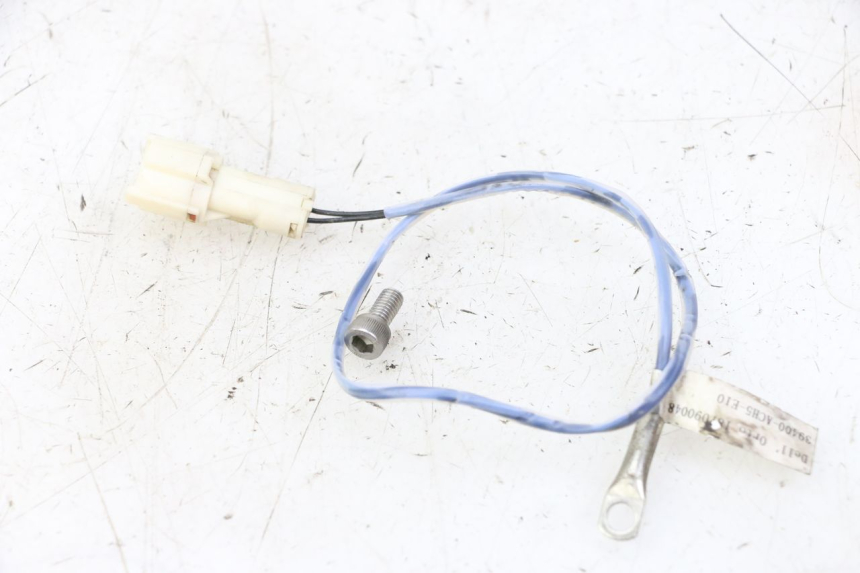 photo de SONDE TNT MOTOR BOSTON 4T 50 (2018 - 2025)