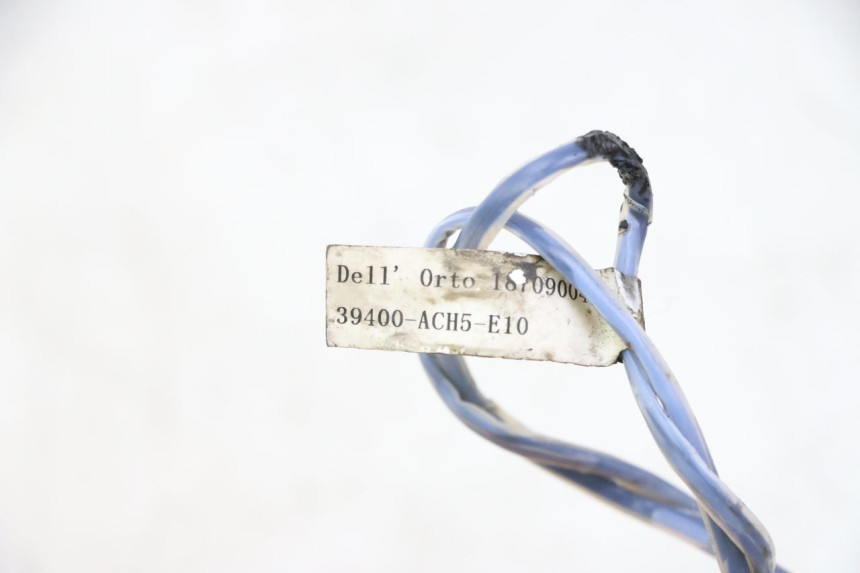 photo de SONDE TNT MOTOR BOSTON 4T 50 (2018 - 2025)