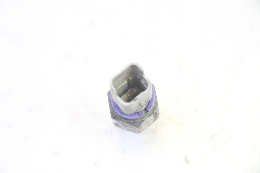 photo de SONDE PRESSION HUILE FREIN PIAGGIO MP3 RL 250 (2007 - 2010) - Gros plan technique