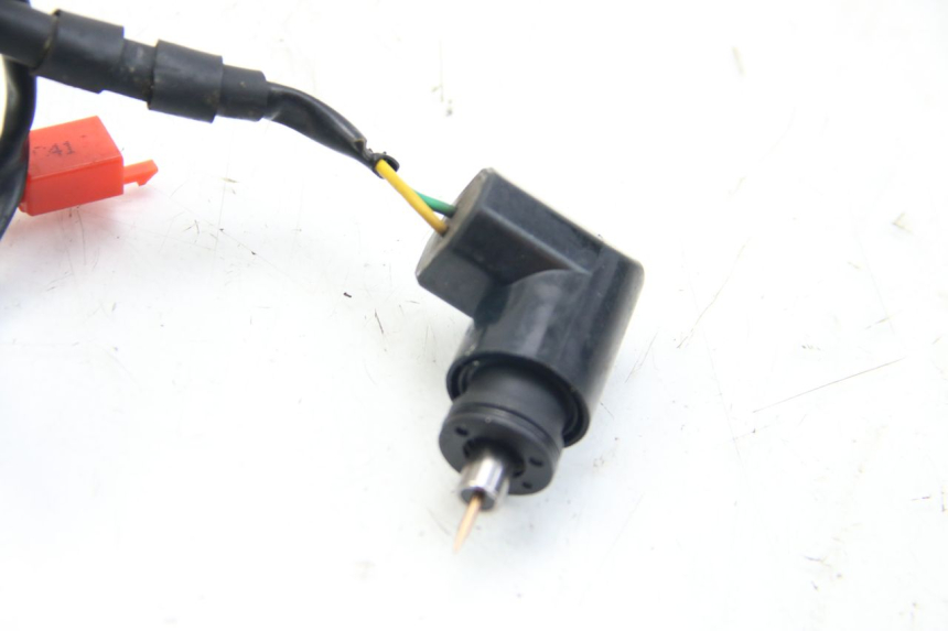 photo de DÉMARREUR AUTOMATIQUE TNT MOTOR ROMA 10' 4T 50 (2019 - 2022)
