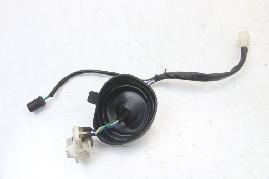photo de SUPPORT AMPOULE TNT MOTOR ROMA 10' 2T 50 (2011 - 2018)