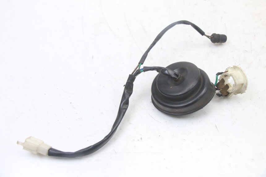 photo de SUPPORT AMPOULE TNT MOTOR ROMA 10' 2T 50 (2011 - 2018)