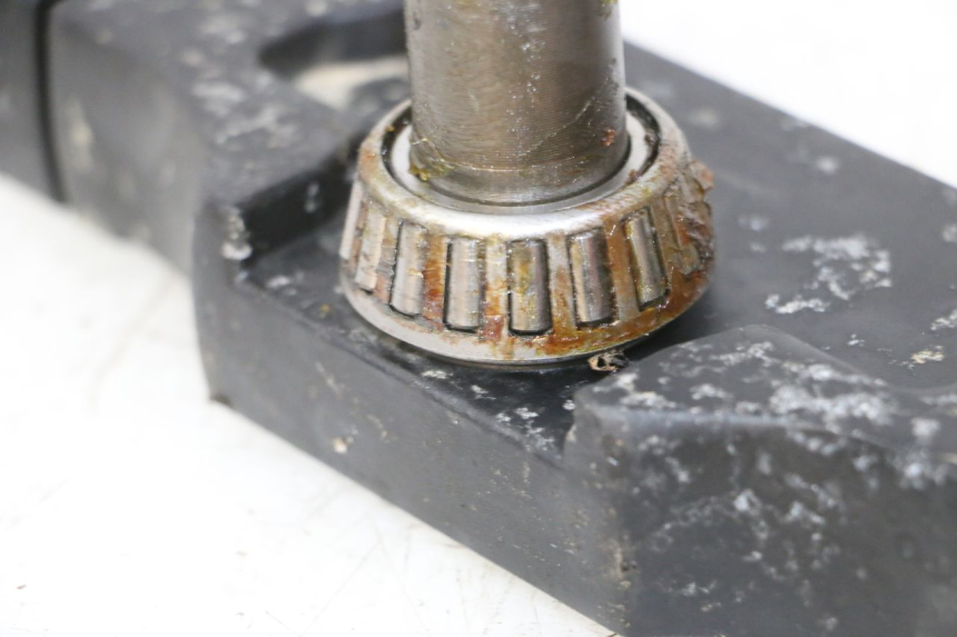 photo de TE FOURCHE PROBIKE DIRT 140