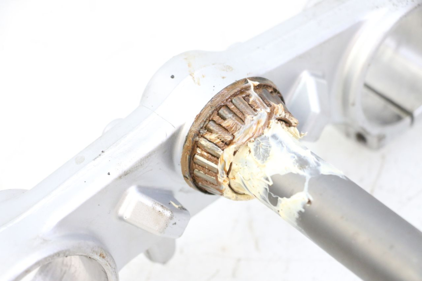 photo de TE FOURCHE RIEJU MRT 50 (2018 - 2021)