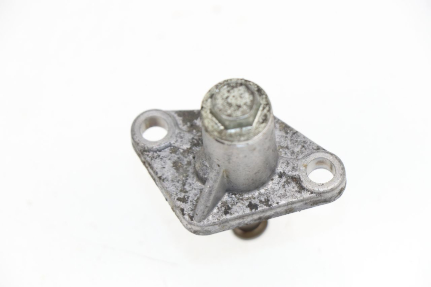 photo de TENDEUR CHAINE DISTRIBUTION PEUGEOT ELYSEO 125 (1999 - 2004)