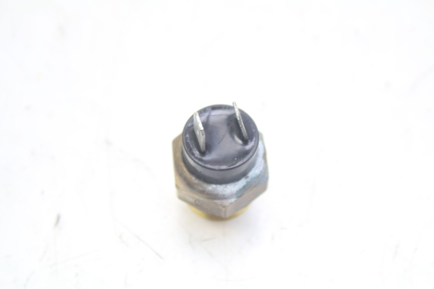 photo de THERMOCONTACT PEUGEOT GEOPOLIS RS 125 (2007 - 2009)