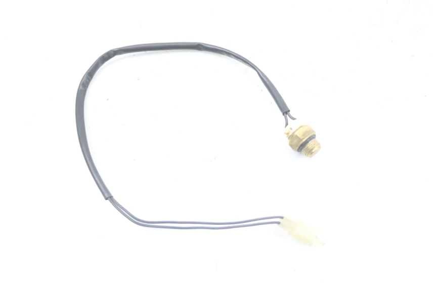 photo de THERMOCONTACT REGAL RAPTOR RAXTER 2 125 (2007 - 2015)