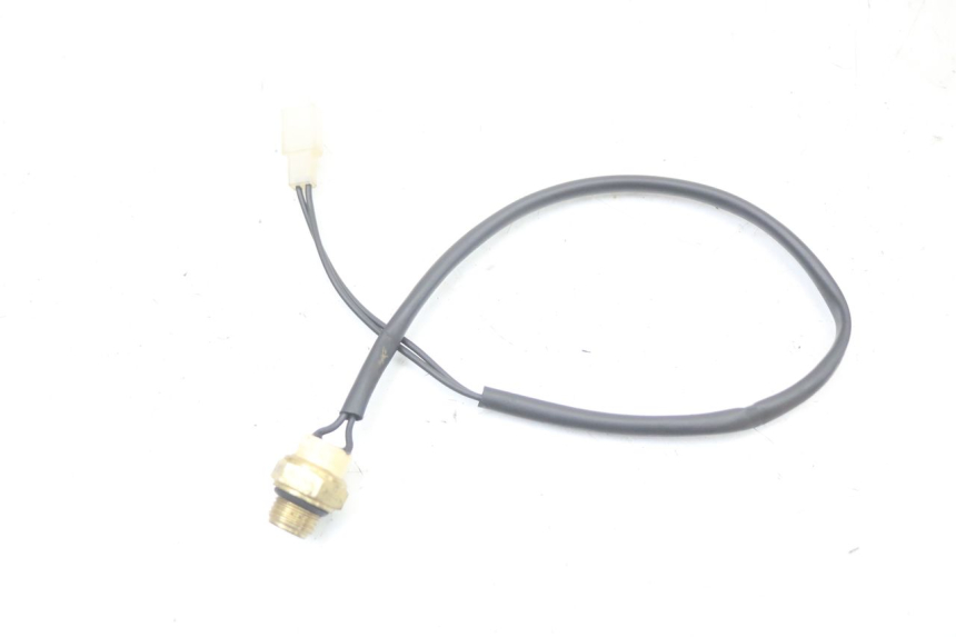 photo de THERMOCONTACT REGAL RAPTOR SPYDER 125 (2010 - 2018) - Vue principale