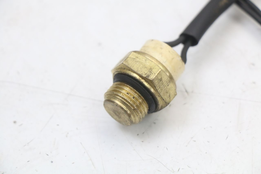 photo de THERMOCONTACT REGAL RAPTOR SPYDER 125 (2010 - 2018) - Détail de la pièce