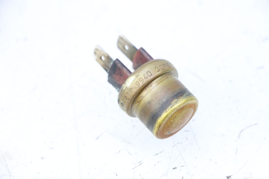 photo de THERMOCONTACT TRIUMPH SPRINT 900 (1995 - 1998)
