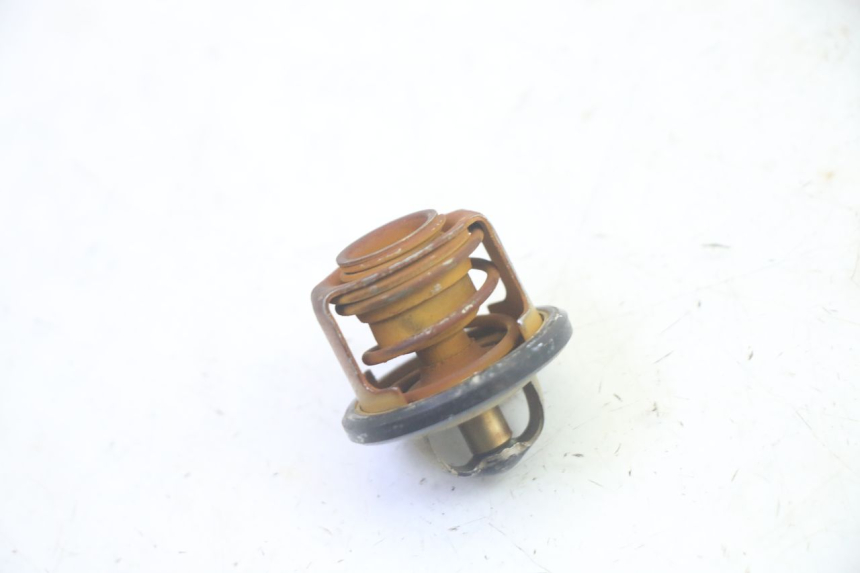 photo de THERMOSTAT PIAGGIO MP3 RL 250 (2007 - 2010) - Détail de la pièce