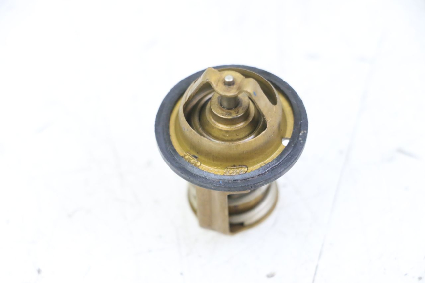 photo de THERMOSTAT PEUGEOT SATELIS 125 (2013 - 2018)