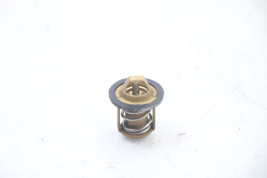 photo de THERMOSTAT PEUGEOT SPEEDFIGHT 3 LC 2T 50 (2009 - 2015)