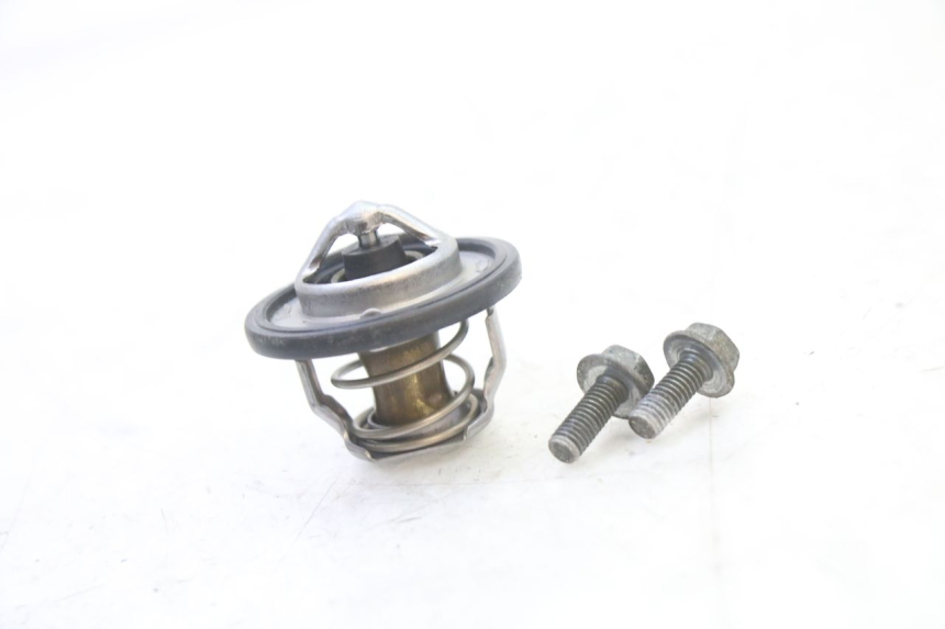 photo de THERMOSTAT SUZUKI SV S 650 (2003 - 2009)