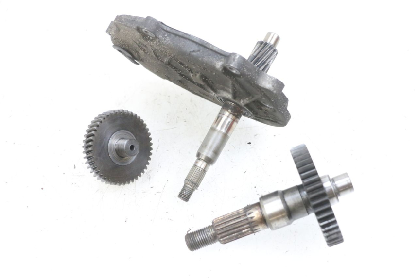 photo de TRANSMISSION ROUE PEUGEOT LUDIX 50 (2008 - 2017) - Marquages et références