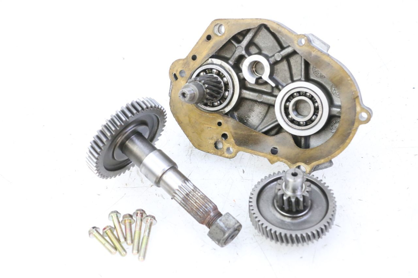 photo de TRANSMISSION ROUE PGO RODOSHOW 2T 50 (2003 - 2007)