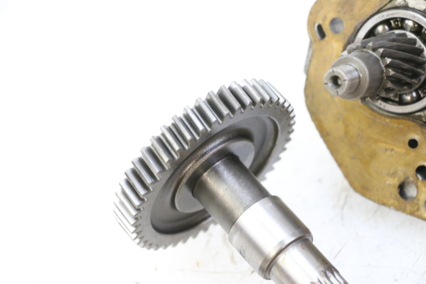 photo de TRANSMISSION ROUE PGO RODOSHOW 2T 50 (2003 - 2007)