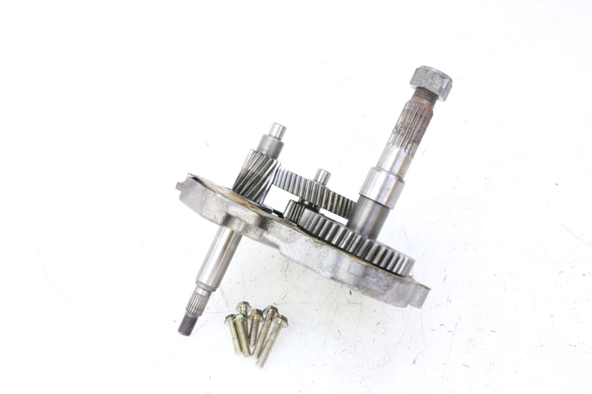 photo de TRANSMISSION ROUE PGO RODOSHOW 2T 50 (2003 - 2007)