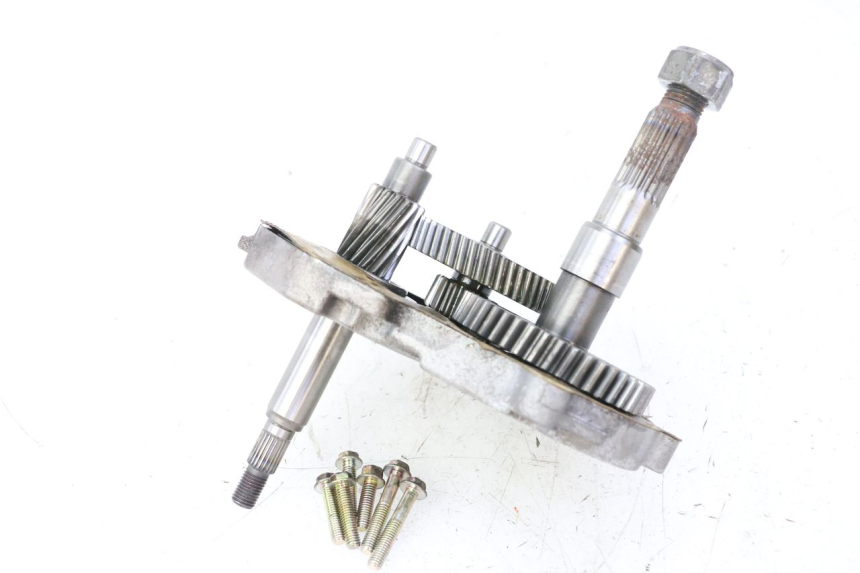 photo de TRANSMISSION ROUE PGO RODOSHOW 2T 50 (2003 - 2007)