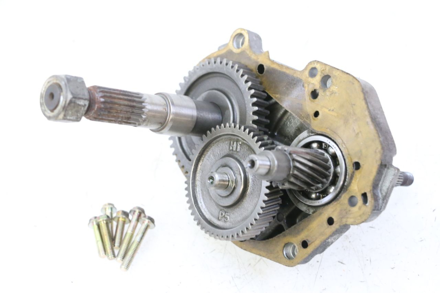 photo de TRANSMISSION ROUE PGO RODOSHOW 2T 50 (2003 - 2007)