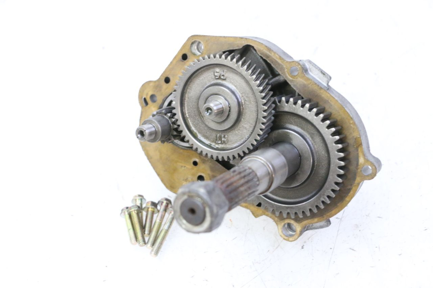 photo de TRANSMISSION ROUE PGO RODOSHOW 2T 50 (2003 - 2007)