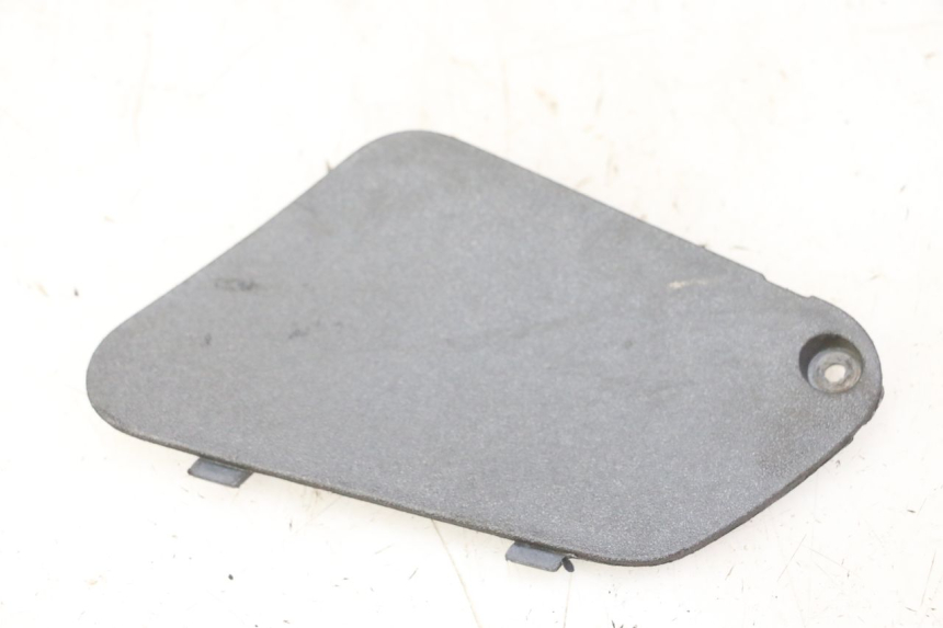 photo de TRAPPE DE VISITE GAUCHE PIAGGIO X9 EVOLUTION 125 (2003 - 2007)