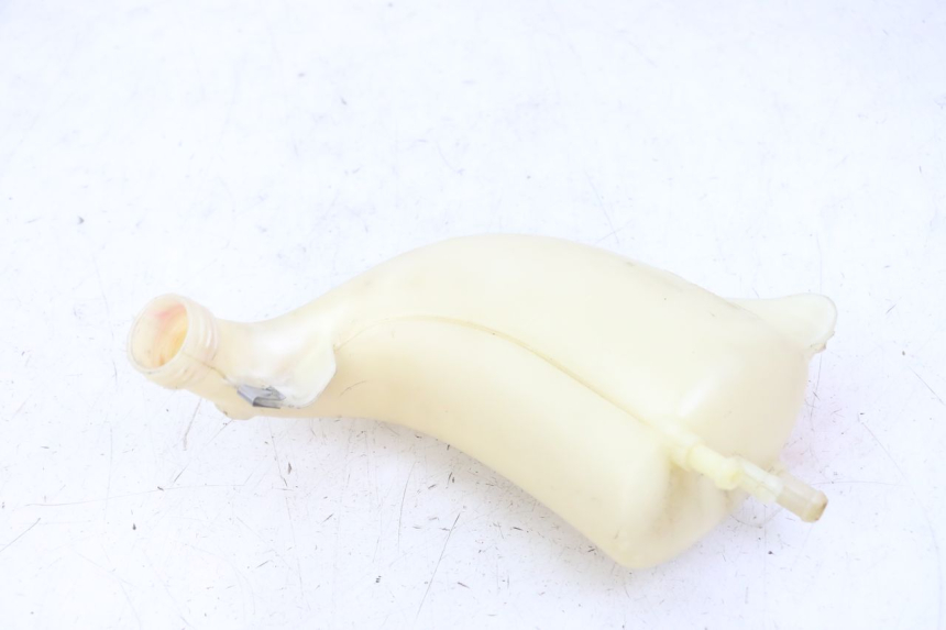 photo de VASE EXPANSION PIAGGIO MP3 LT 300 (2010 - 2016)