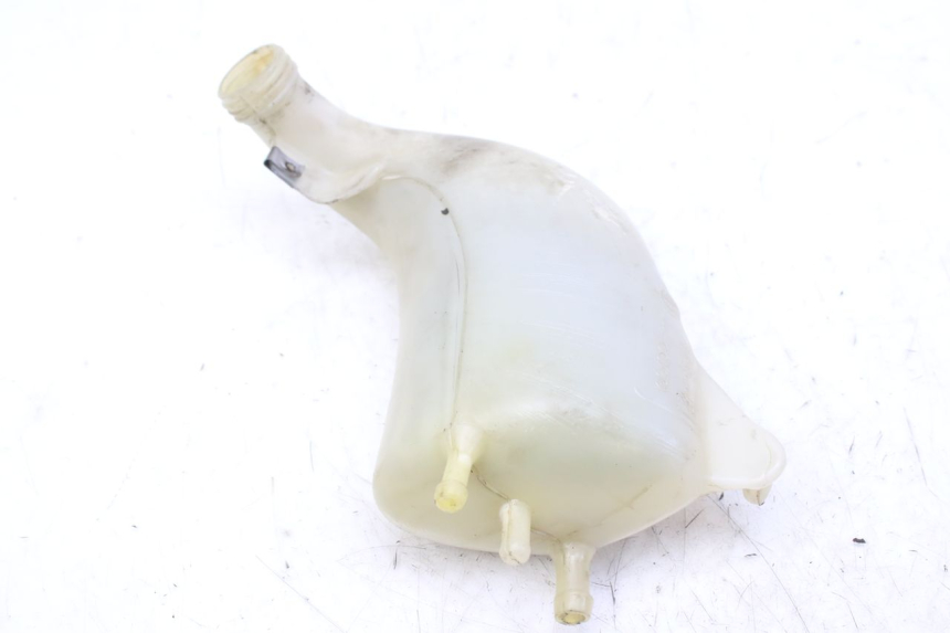 photo de VASE EXPANSION PIAGGIO MP3 RL 250 (2007 - 2010)