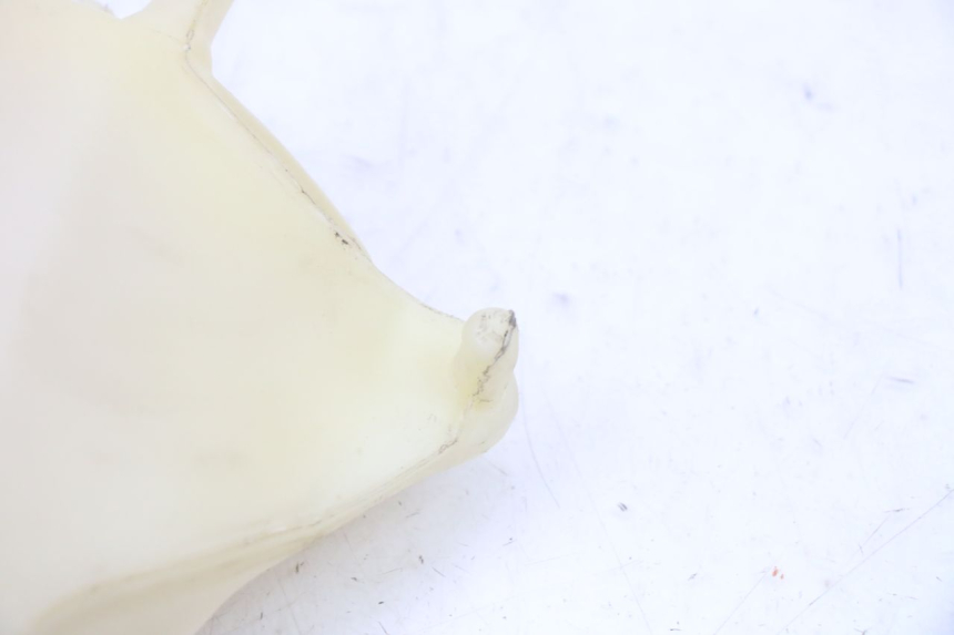 photo de VASE EXPANSION PIAGGIO MP3 RL 250 (2007 - 2010)