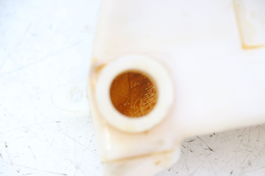 photo de VASE EXPANSION TRIUMPH SPRINT 900 (1995 - 1998)