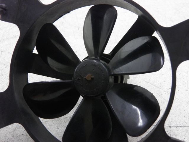 photo de VENTILATEUR PEUGEOT ELYSEO 125 (1999 - 2004)