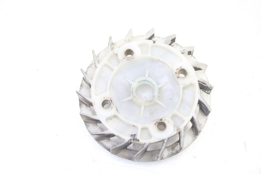 photo de VENTILATEUR PEUGEOT TWEET 4T 50 (2018 - 2020)