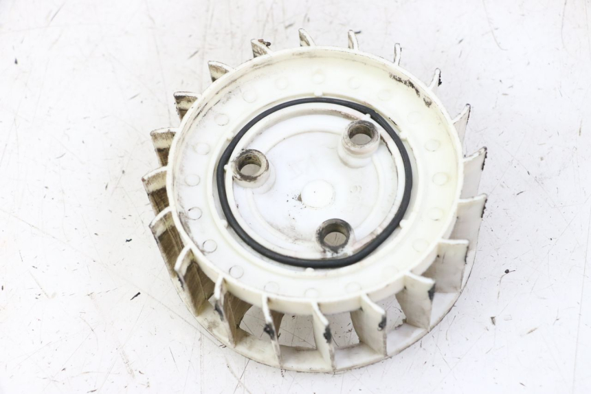 photo de VENTILATEUR TNT MOTOR ROMA 10' 2T 50 (2011 - 2018)