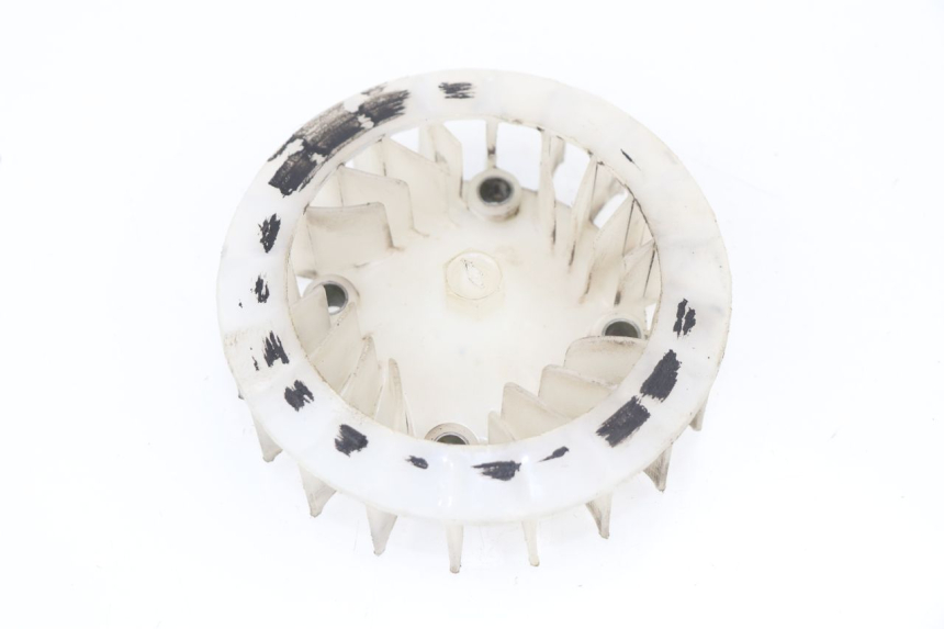 photo de VENTILATEUR BAOTIAN TRAVEL SPIRIT 50 (2010 - 2012)