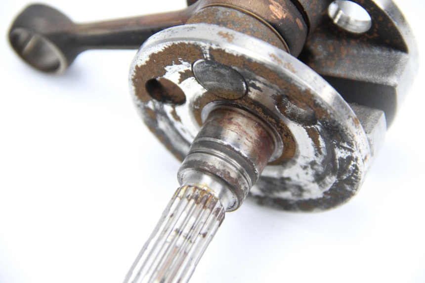 photo de VILEBREQUIN PIAGGIO NEW TYPHOON 50 (2010 - 2017)