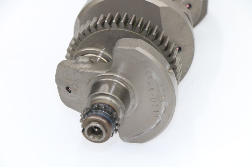 photo de VILEBREQUIN YAMAHA XJ6 600 (2008 - 2016)